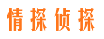 公主岭市侦探调查公司